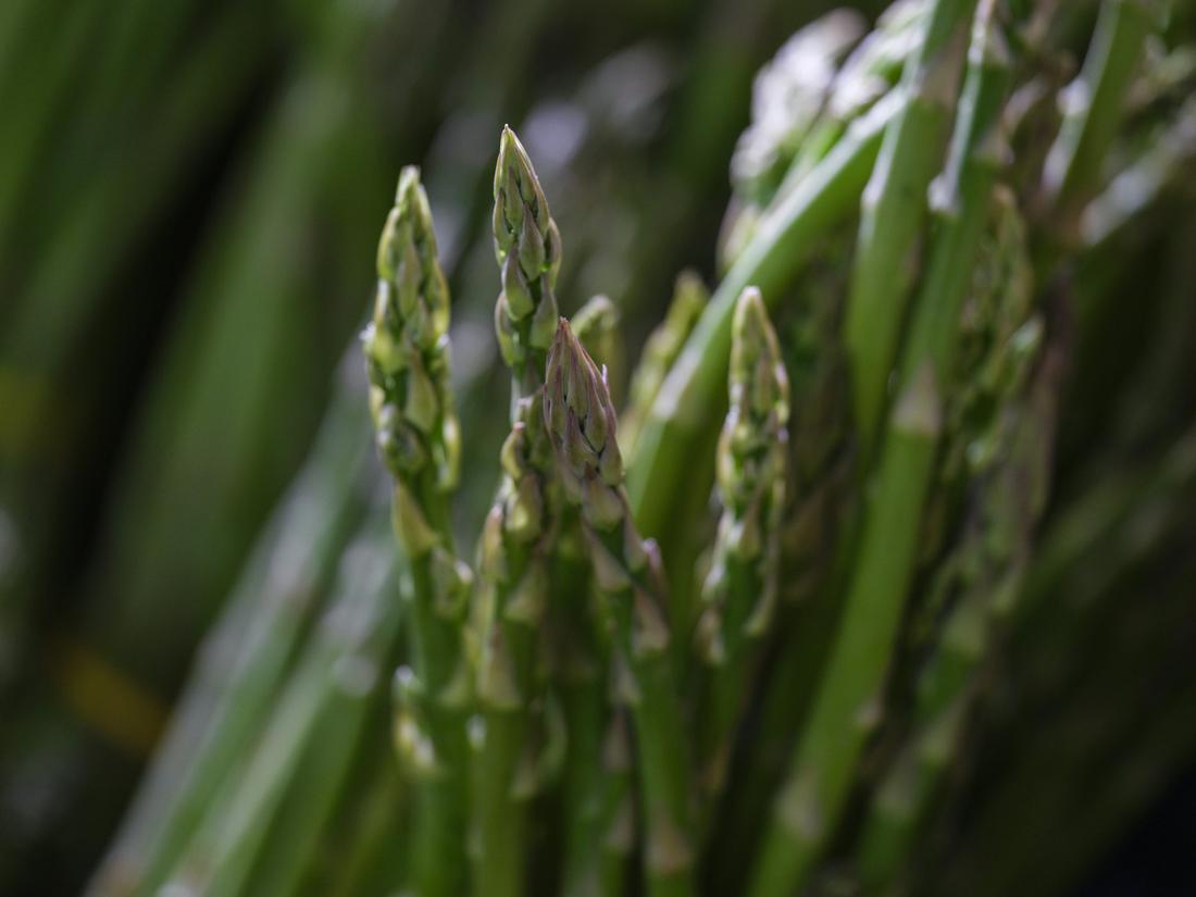 Asparagus