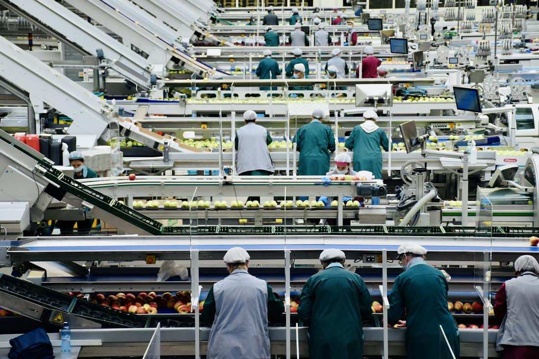 Processors, juicers & food manufacturers