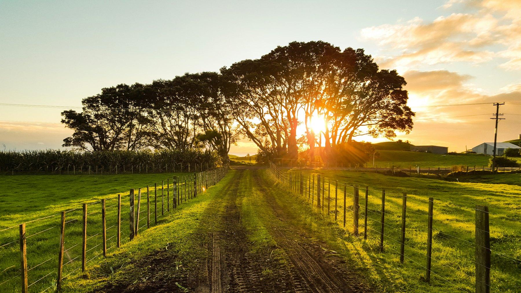 New Zealand