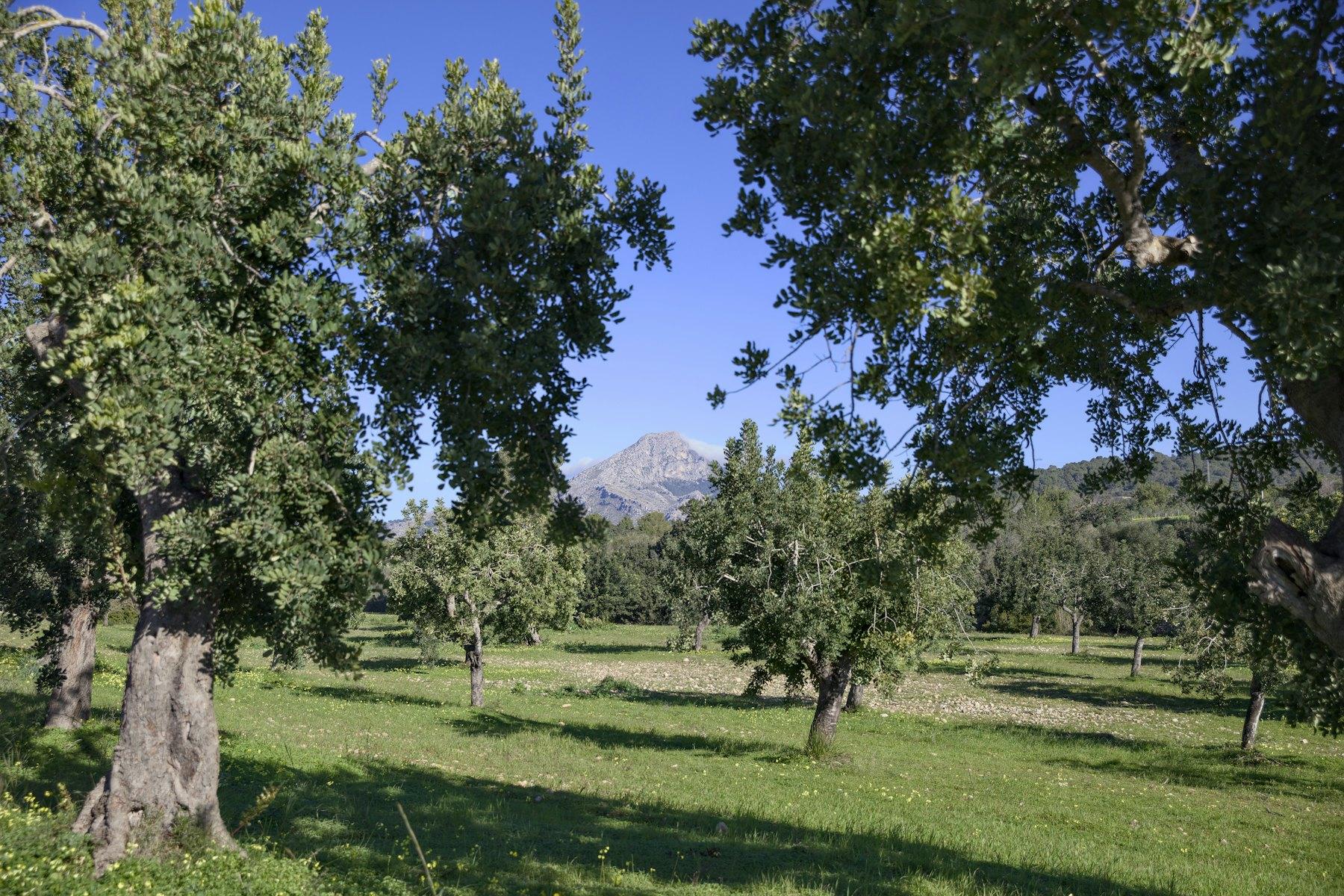 Spain
